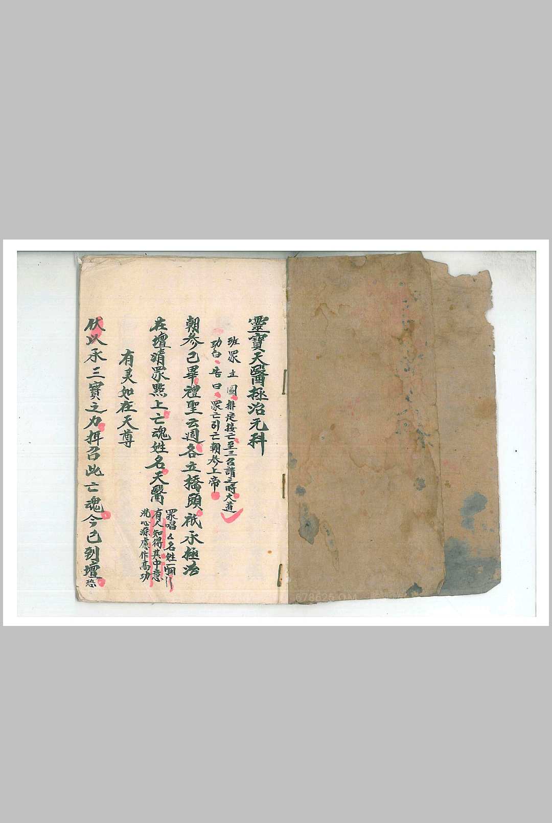 灵宝天医拯治元科