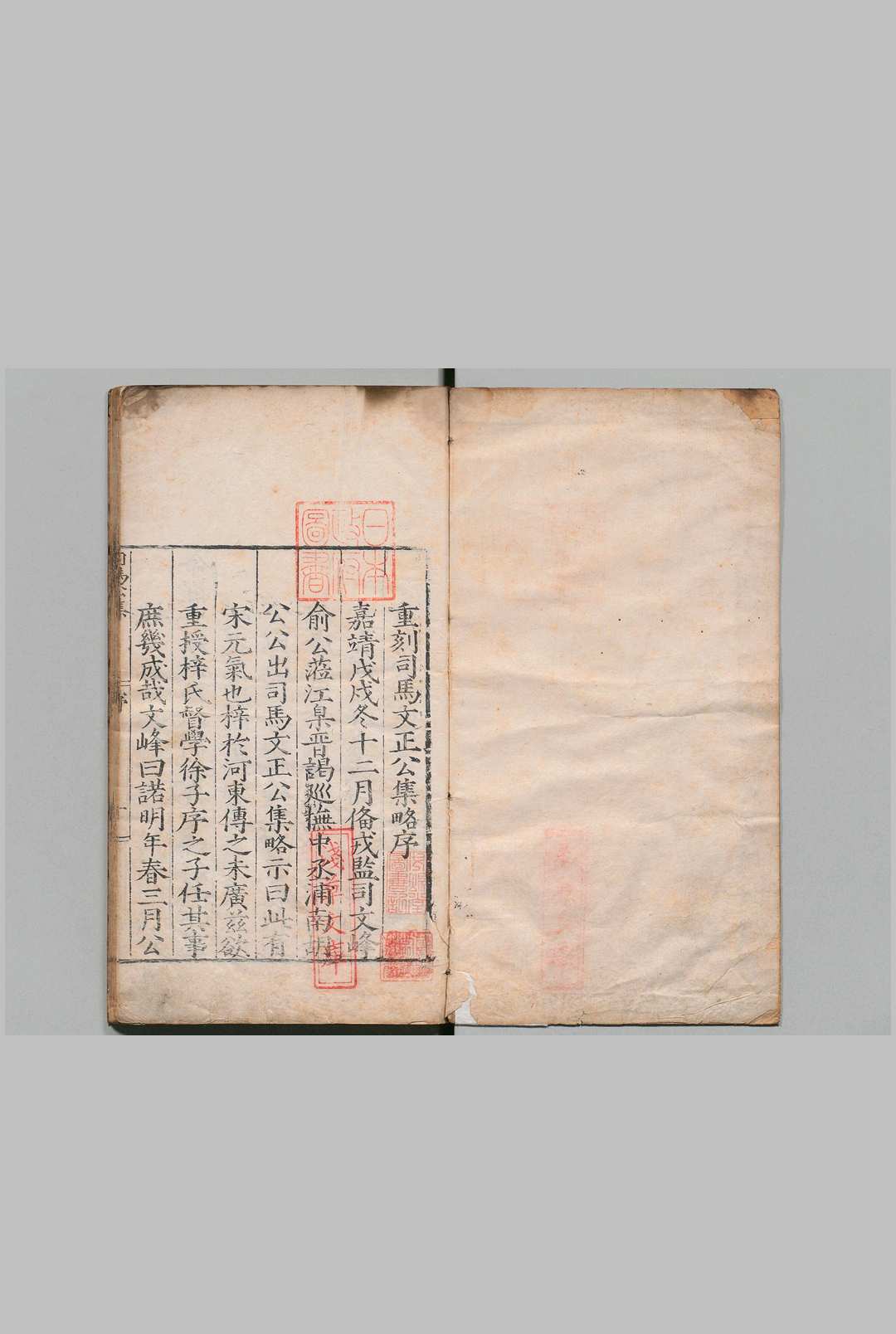 司马文正公集略 31卷 诗集７卷 崔铣 明嘉靖18年