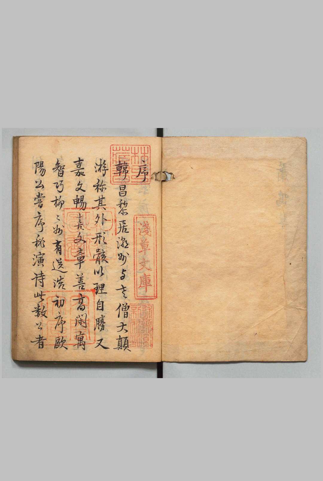 萧鸣草 释茞亭（清）写本 ,江户