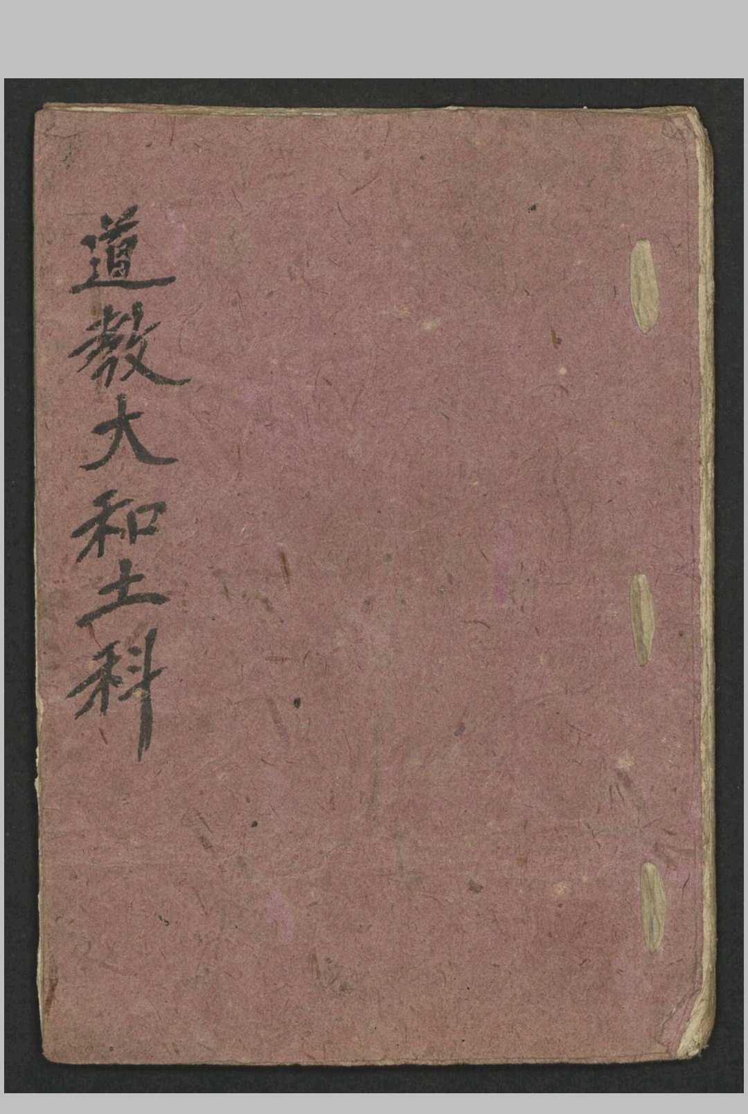 道 教大和土科