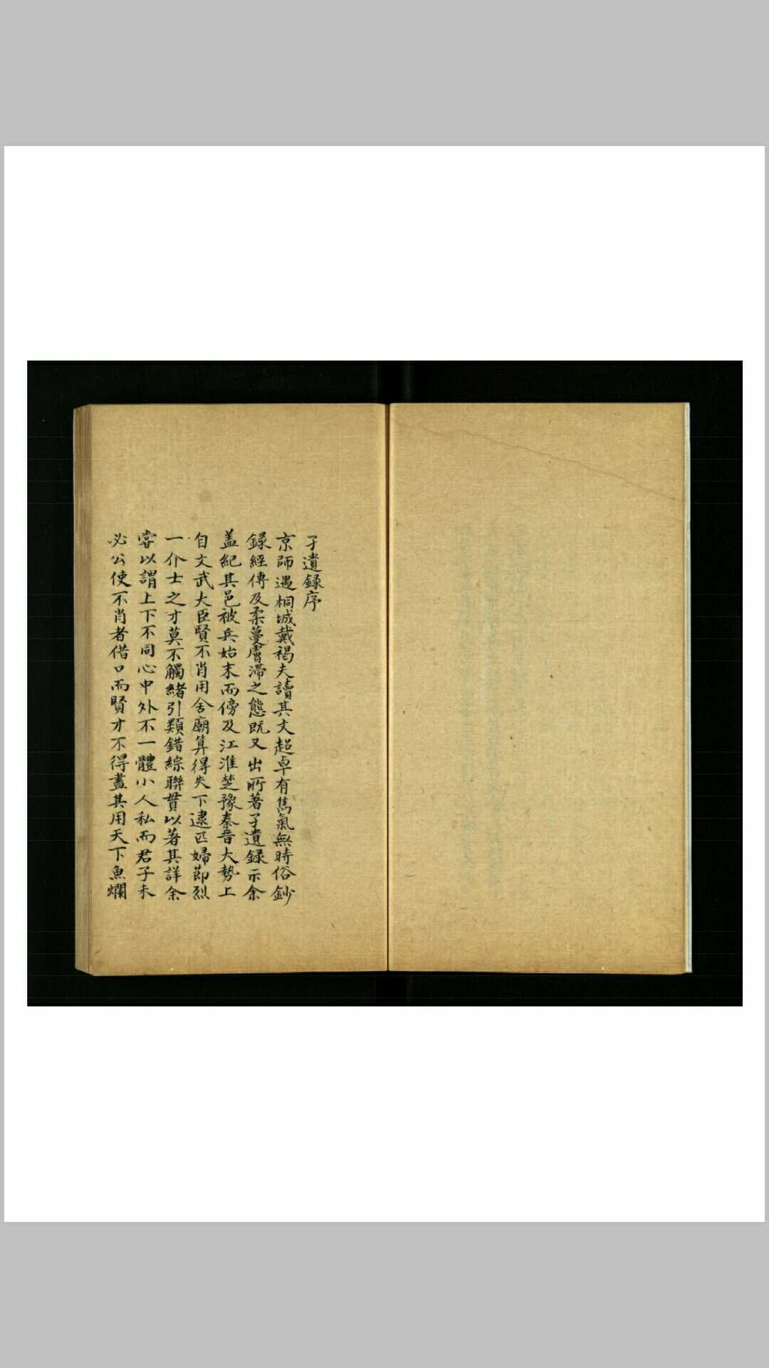 孑遗录一卷(清)戴名世撰