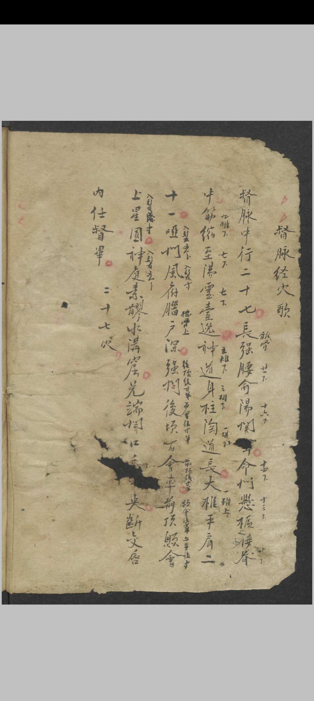 针灸大成节抄 , 1800