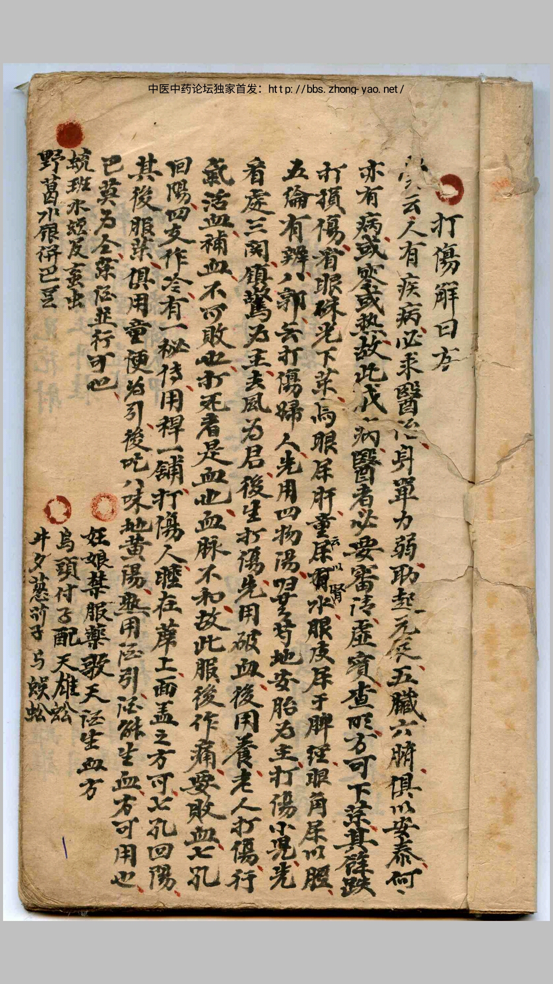 《药书》(光绪年手抄本)