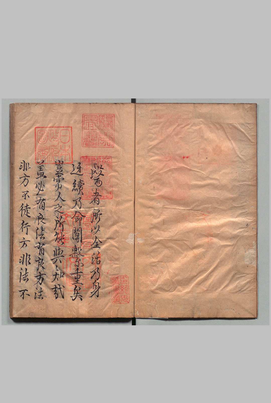 黎居士简易方论 11卷 黎民寿（宋）写本 ,江户