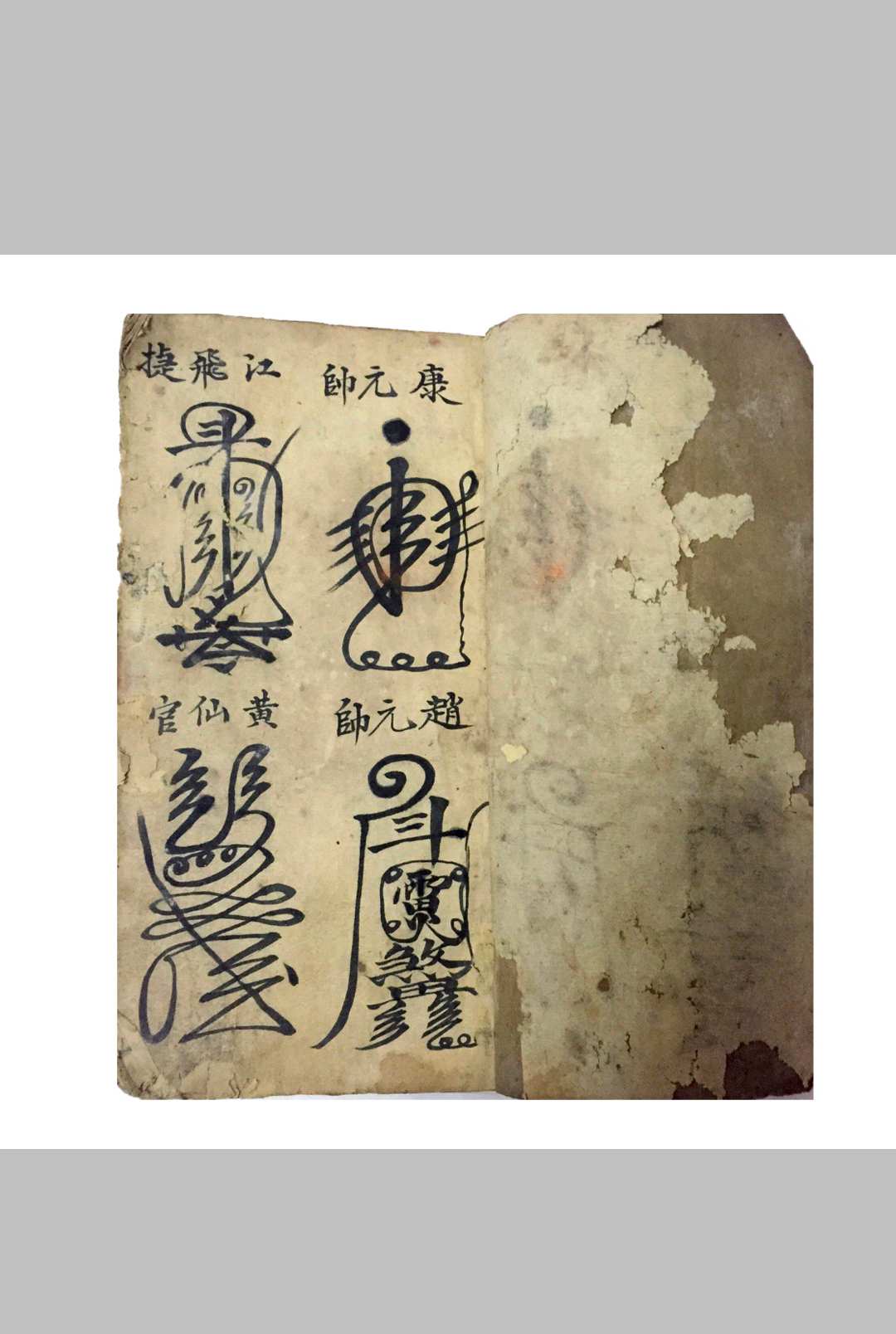 康元帅江飞捷