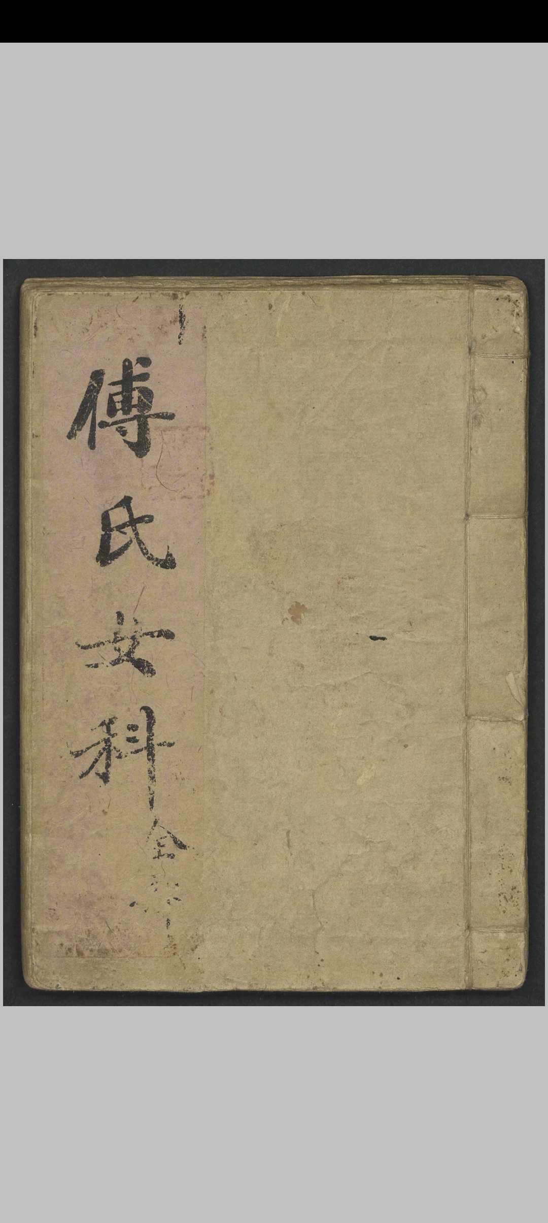傅山 傅氏女科 , 1900