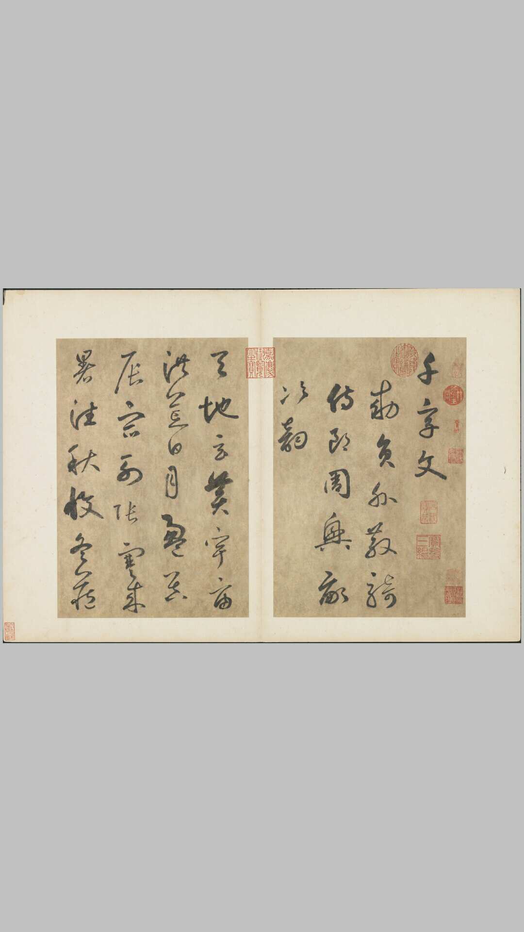 书千文册.三十七开.元.边武.草书.台北故宫博物院藏.元至正元年本