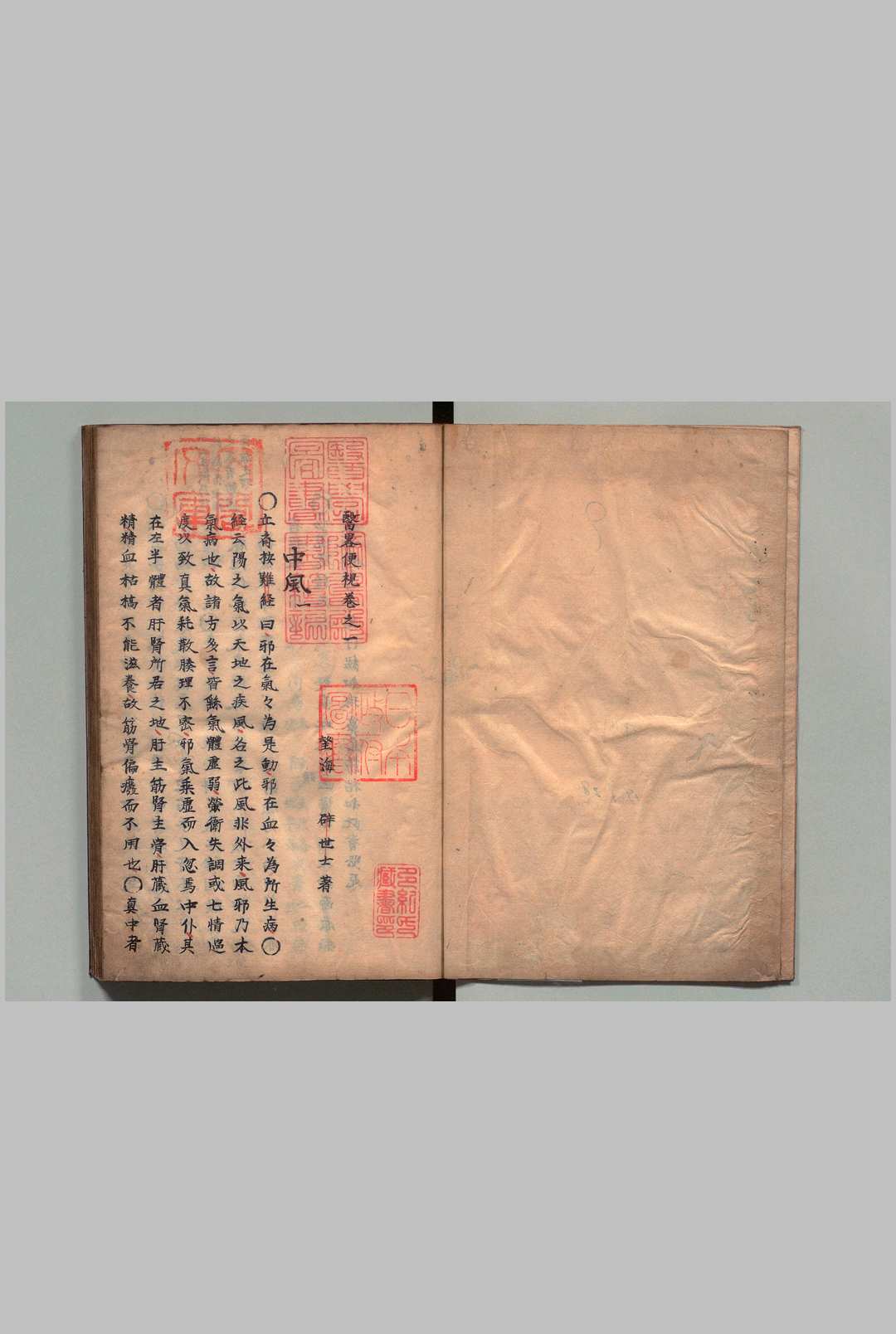 医略便视 ４卷 辟世士（清）写本 ,江户