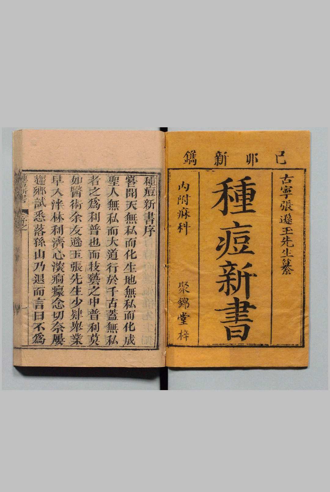 种痘新书 12卷 张琰 清乾隆24年