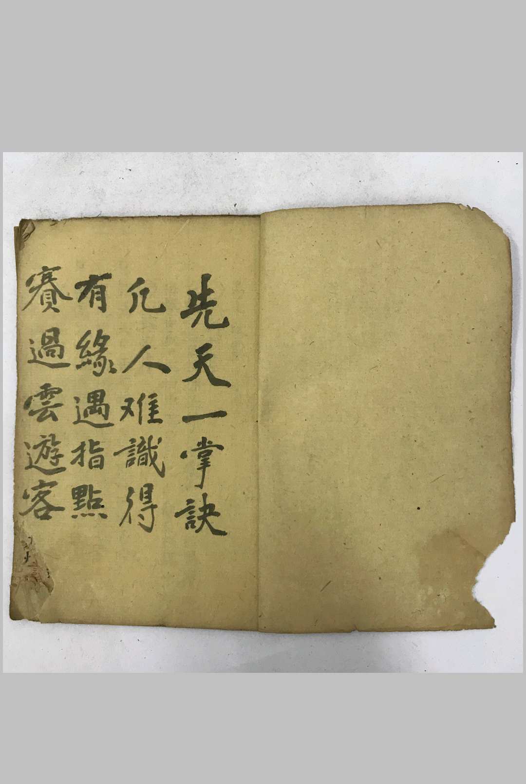 《先天一掌决》