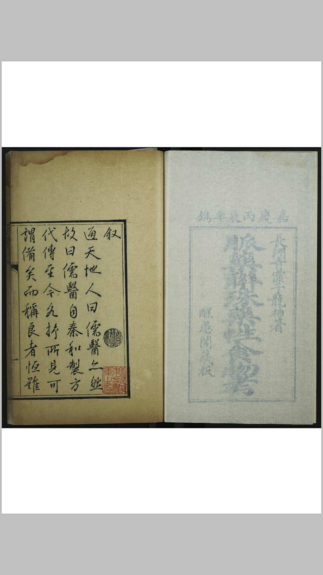 脉药联珠药性食物考