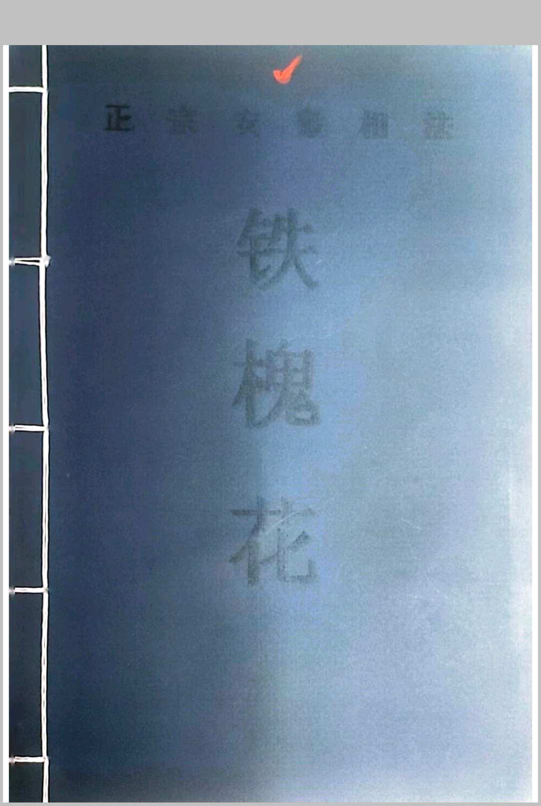 铁槐花 正宗安徽相法 上下集