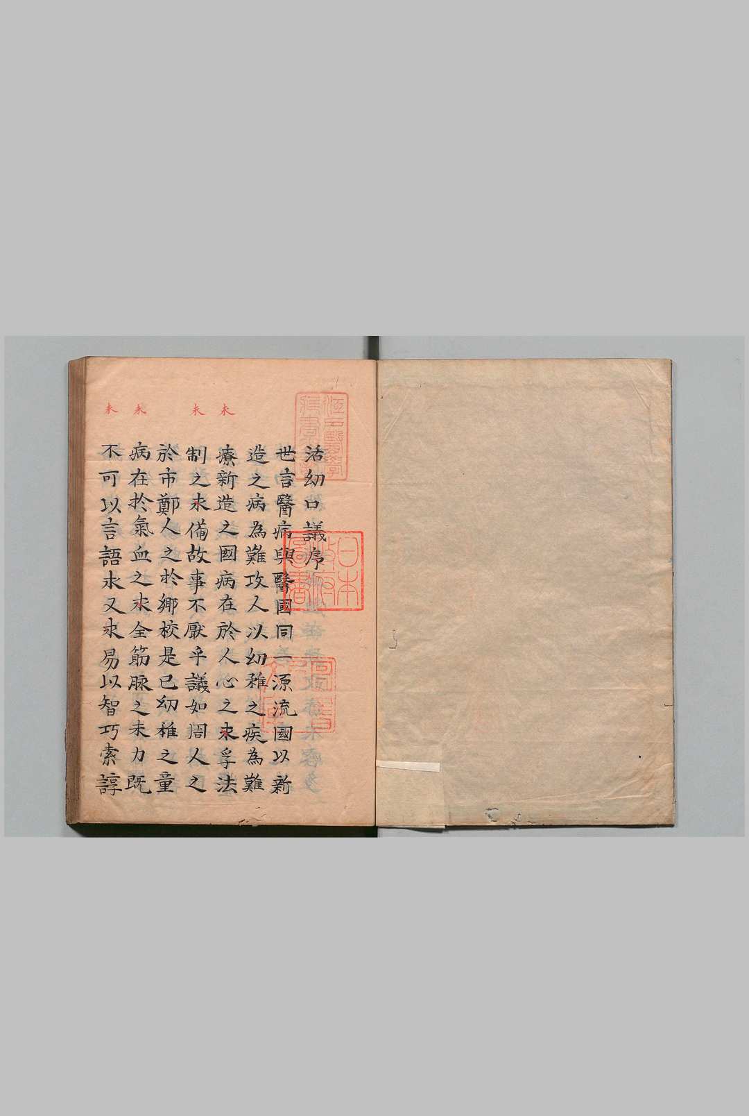 新刊演山省翁活幼口议 20卷 曾世荣（元）喜多村直宽 写本 ,天保15年 , 医学馆