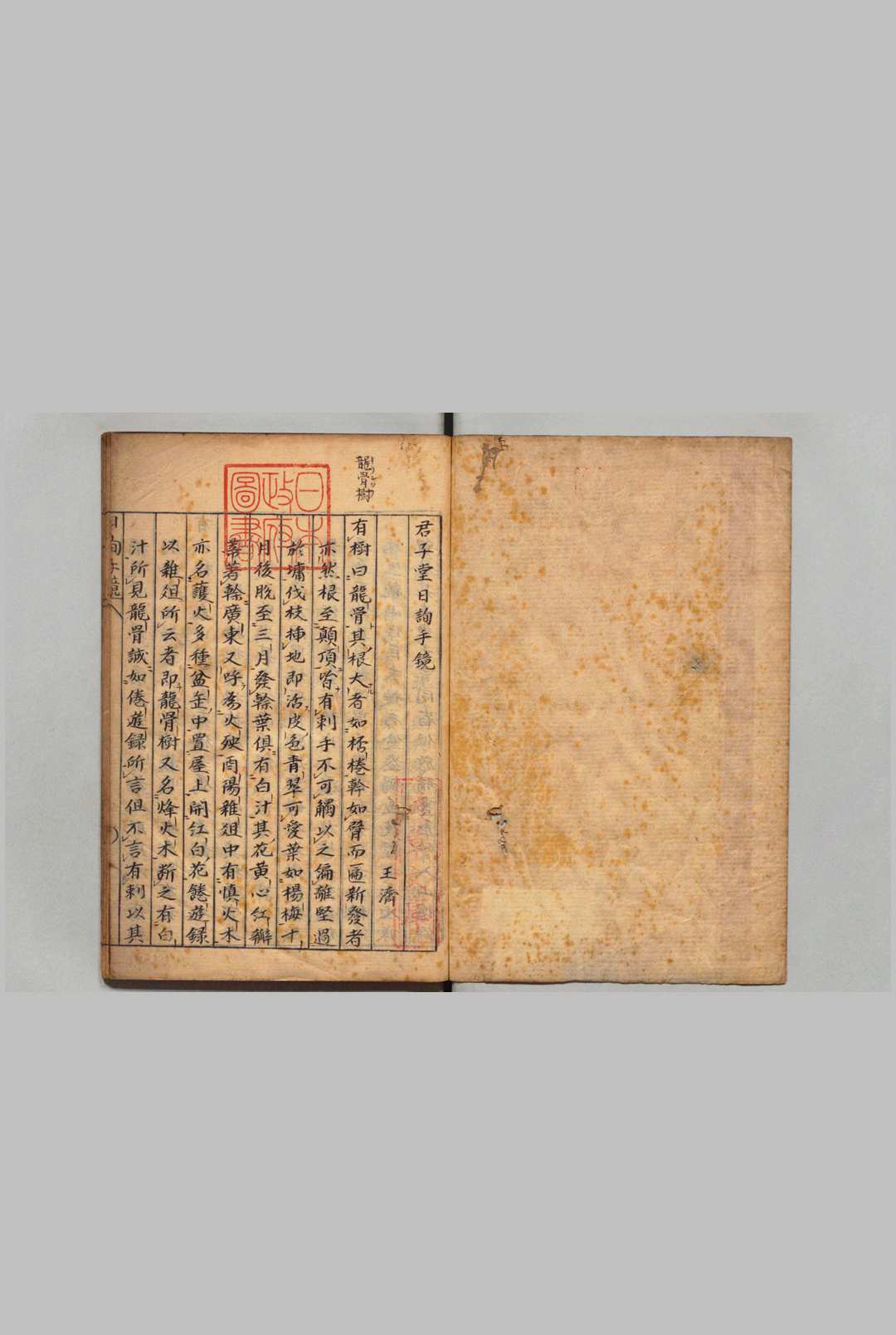 君子堂日询手镜 王济（明）写本 ,江户