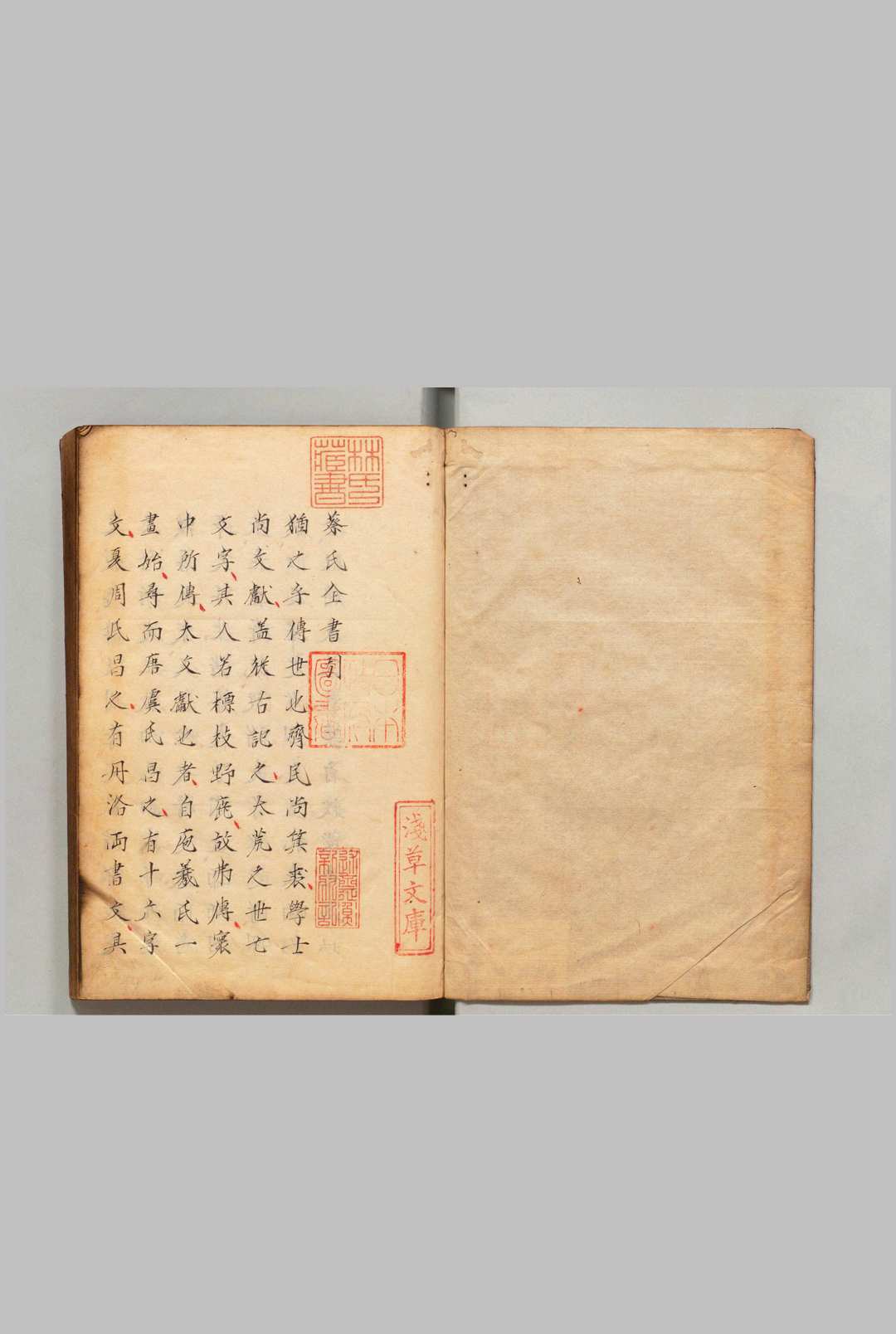 蔡氏全书 ９卷 首１卷 朱世泽（明）写本 ,江户