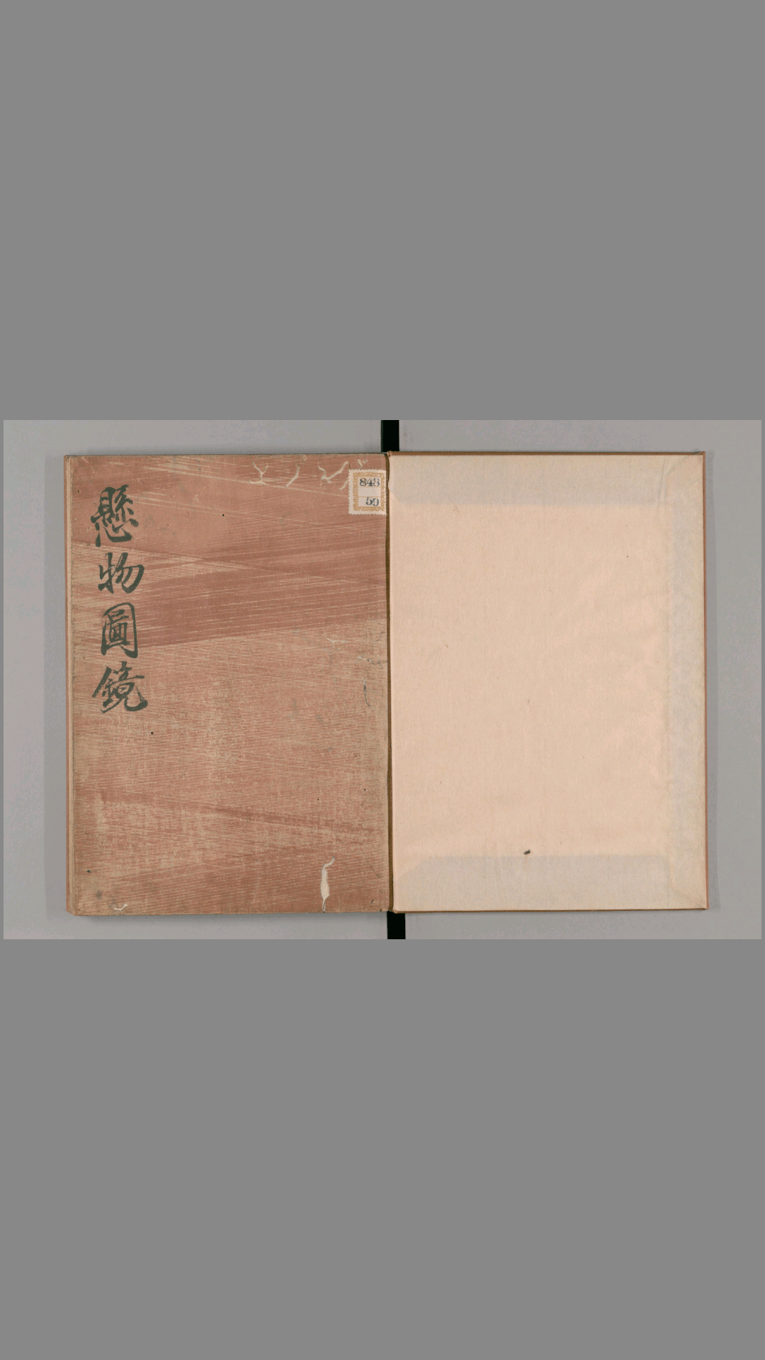 悬物图镜.西村知备.文化3年跋