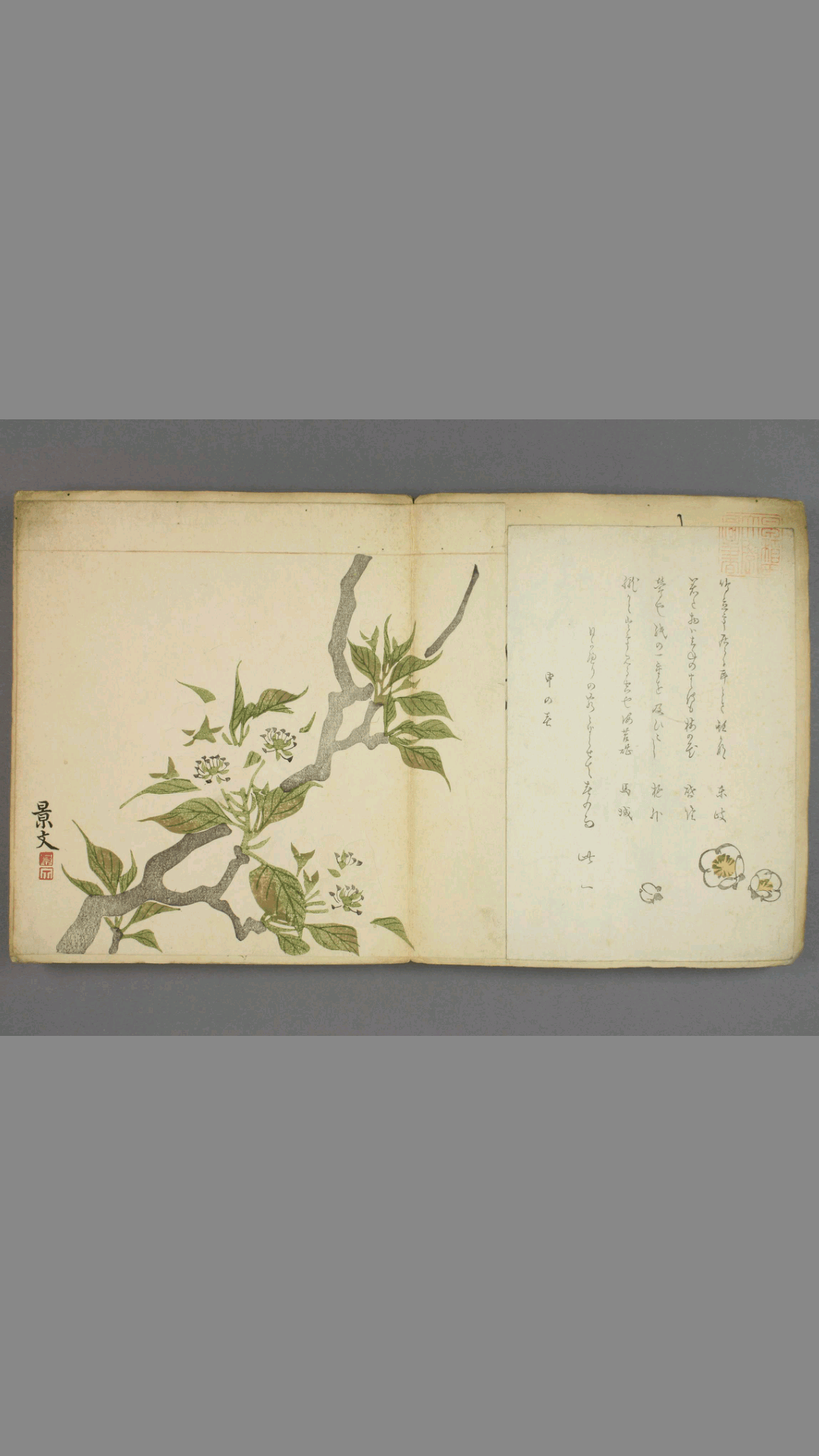 浮世绘装饰画.摺物貼込帖