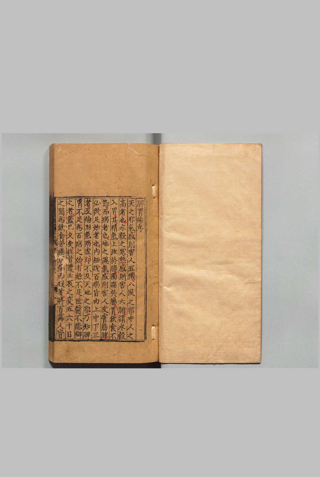 东垣十书 李杲（元）王好古（元）明正德3年 , 熊氏梅隠书堂