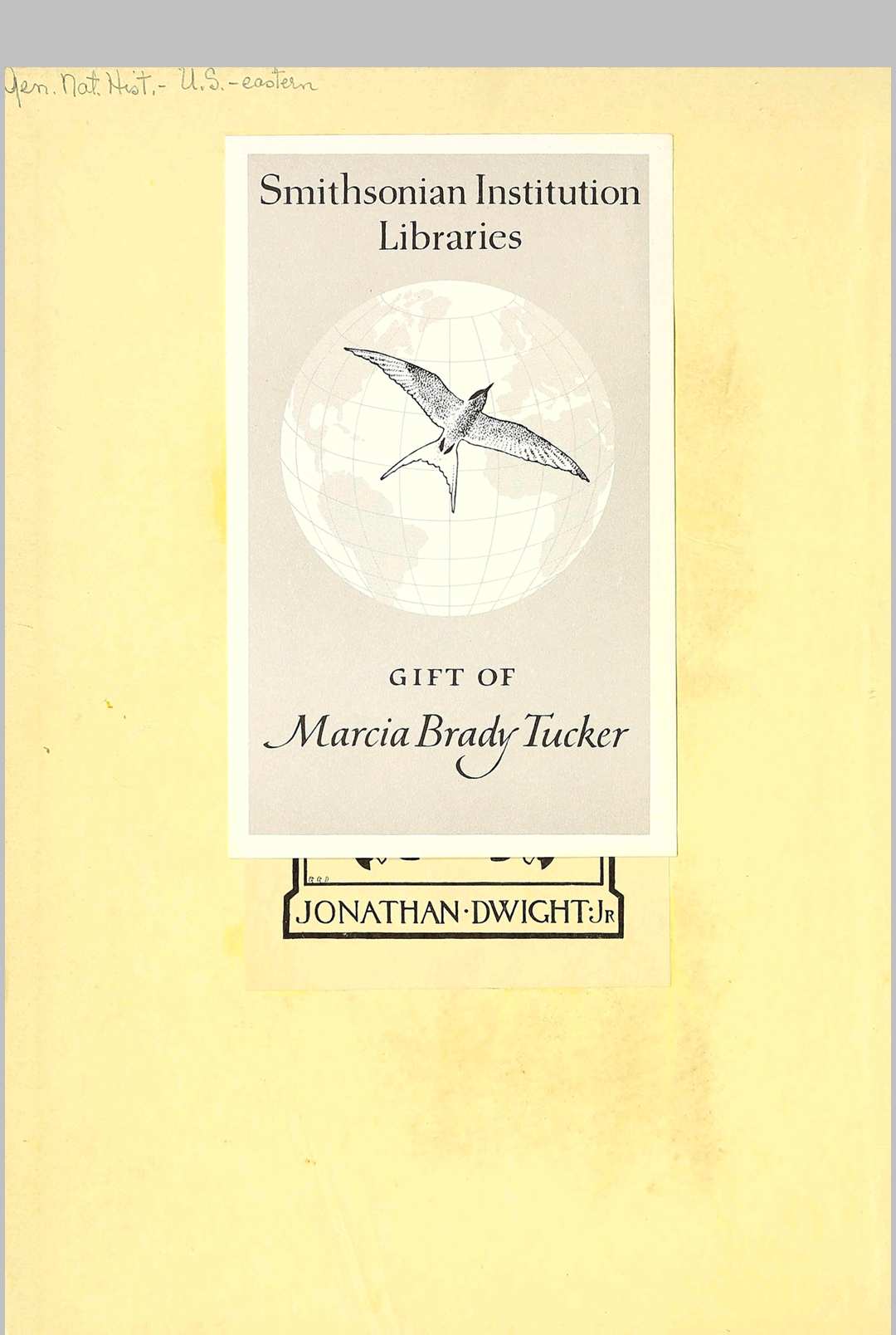 苏珊·费尼莫尔·库珀.乡村时光