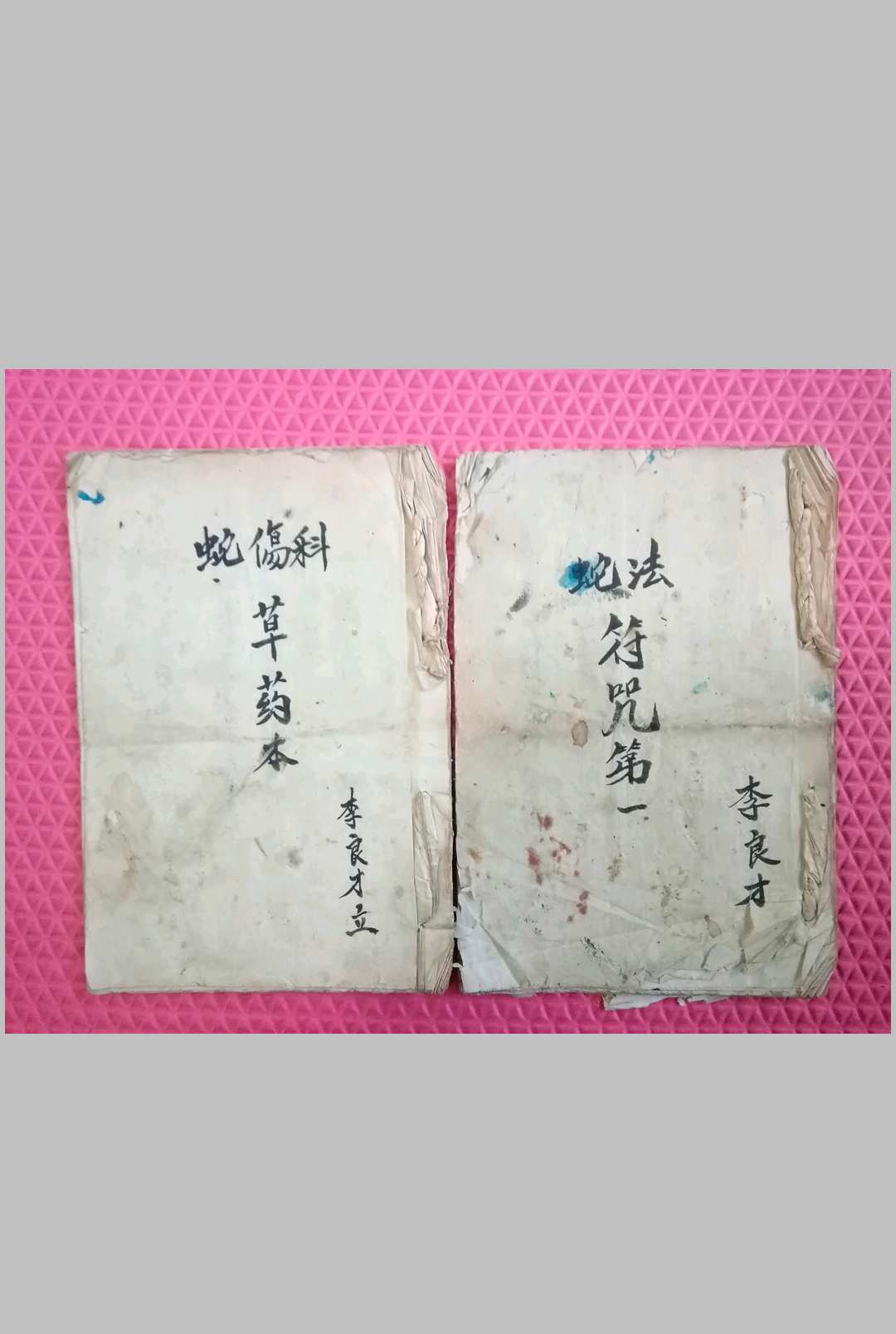 蛇伤科草药本与蛇法符咒