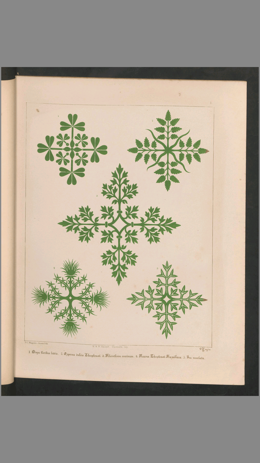 花卉装饰图案.31种.Floriated ornament.a series of thirty-one designs.by Augustus Welby Pugin.1849年