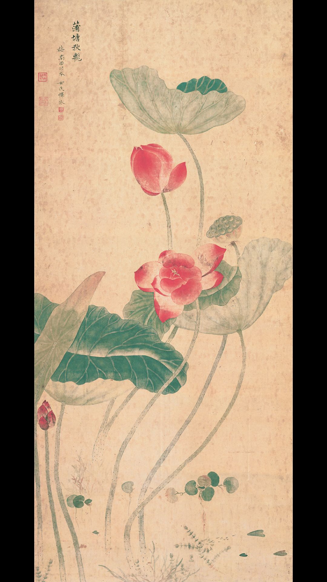 清 恽冰 蒲塘秋艳图纸本126.41×56.4