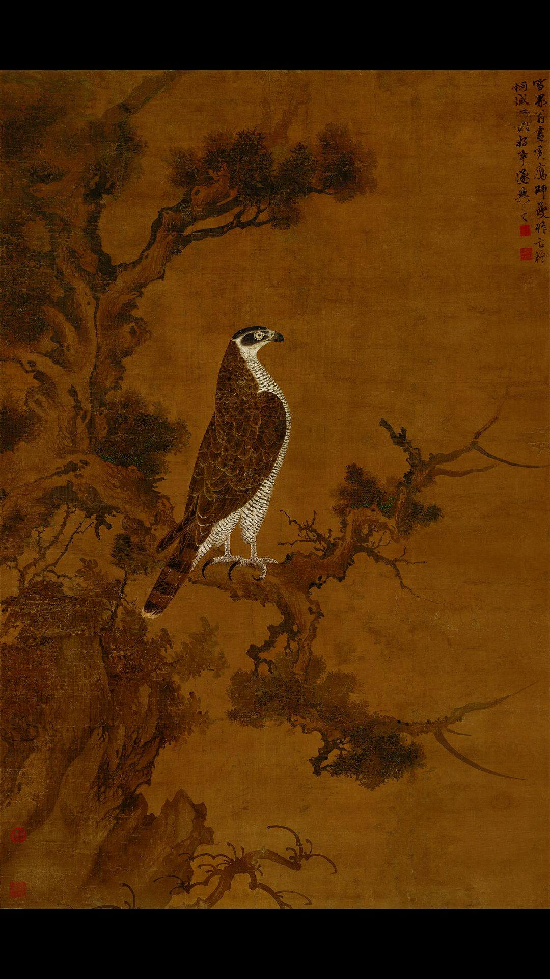 元 张舜咨 柏鹰图（雪界翁）绢本146×96