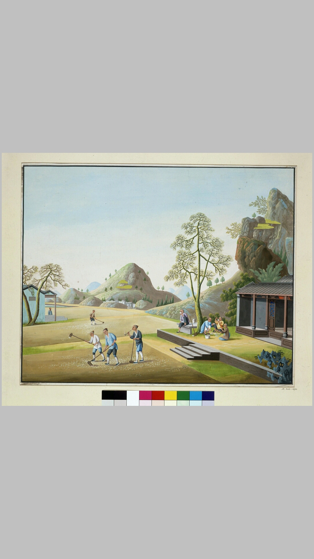 中国清代外销画.制茶制陶.行业人物.船只.植物花鸟.172图.维多利亚和阿尔伯特博物馆藏