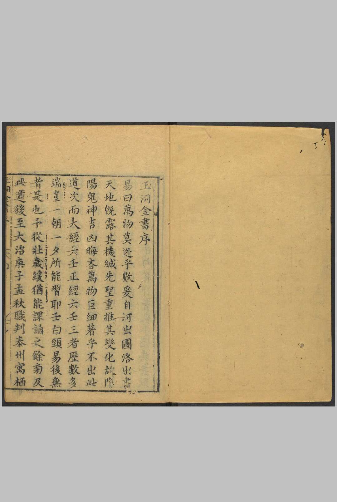 玉洞金书