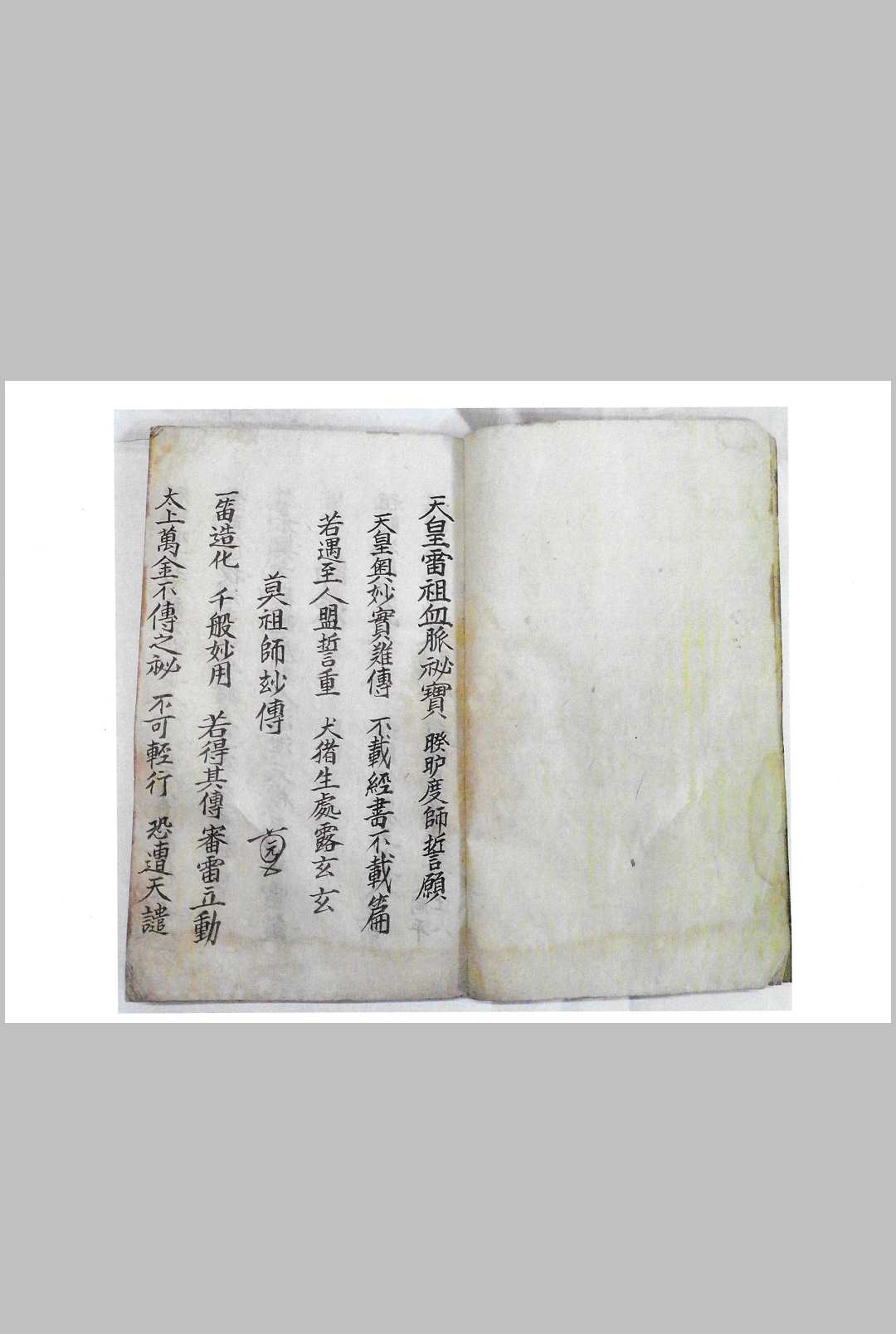天皇雷祖血脉秘宝（天皇至宝）