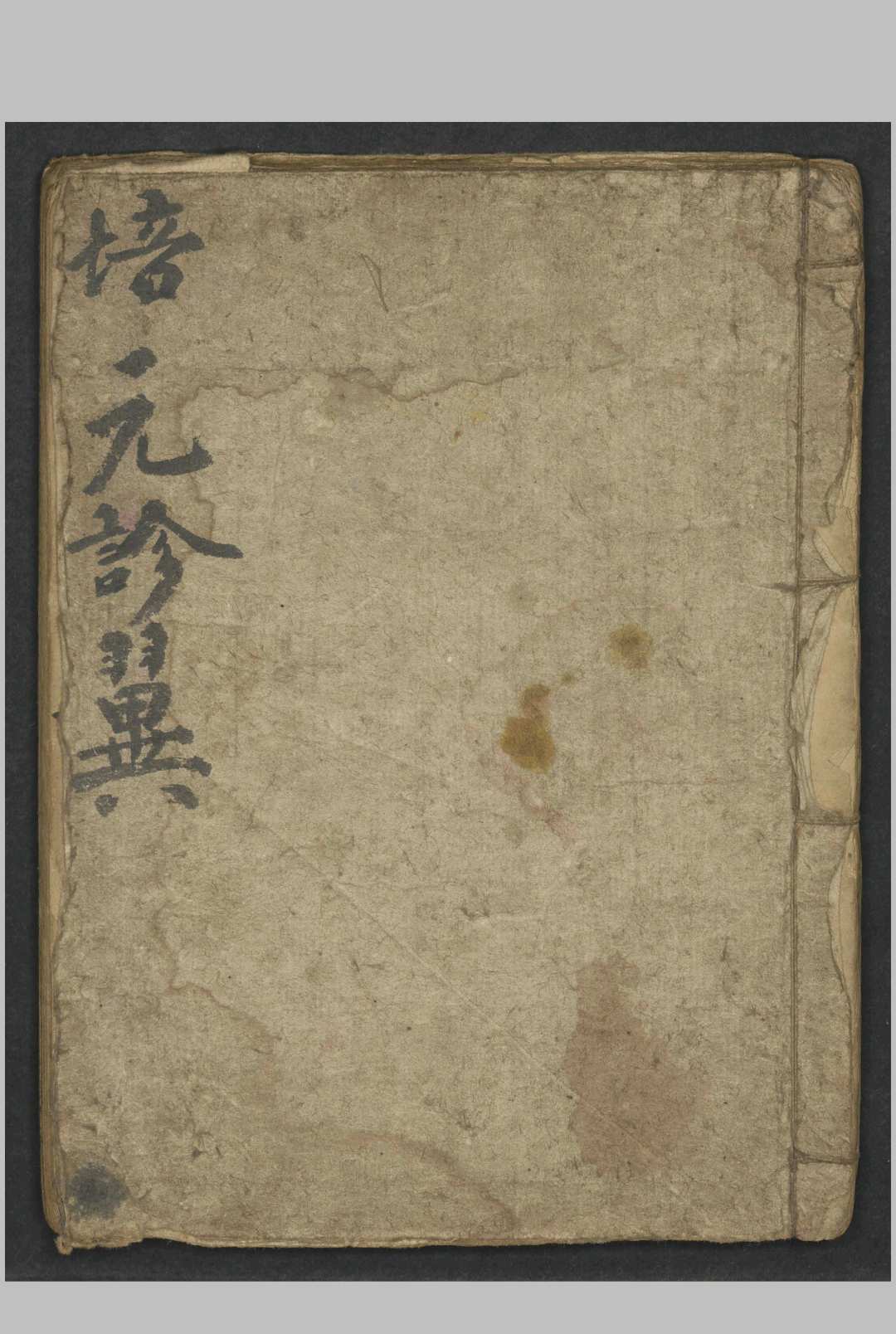 许兆桢 诊翼  1800