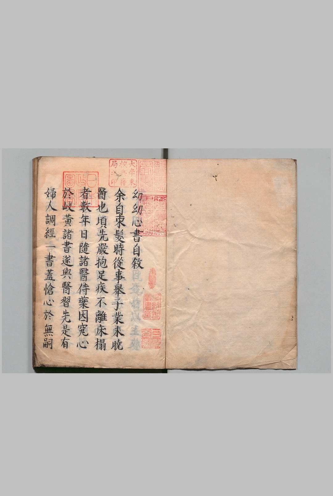 痘疹幼幼心书  17卷 吕献策（明）写本 ,文政3年