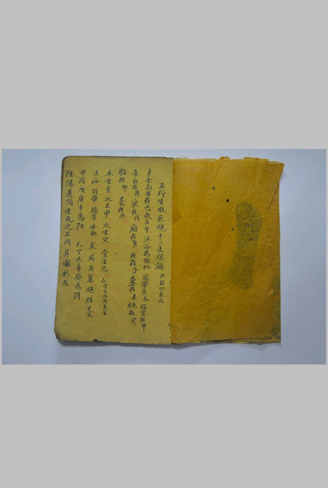 五行生旺死绝十二支总论 （符咒）