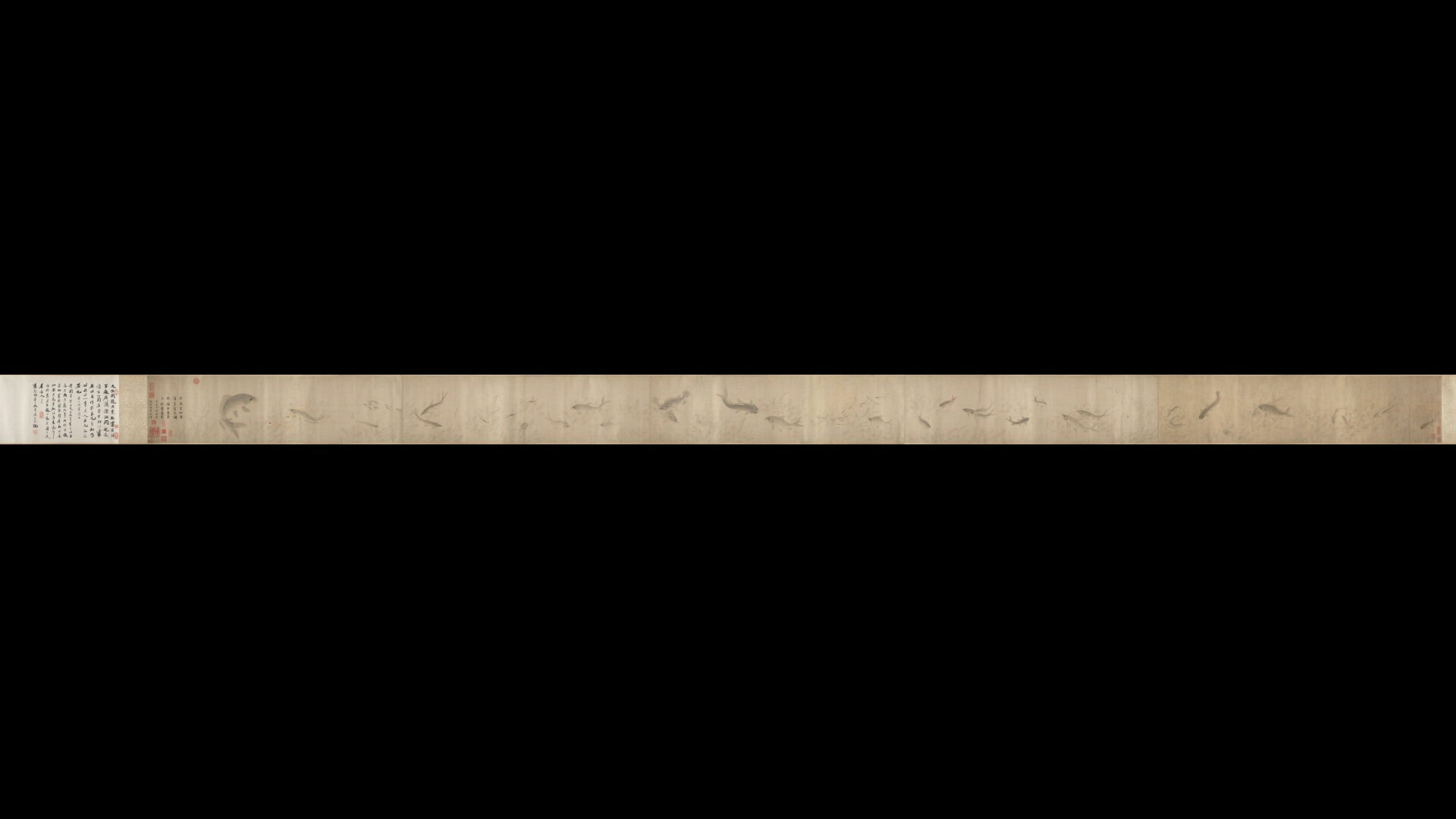 元 周东卿 鱼乐图卷纸本32.1×1122