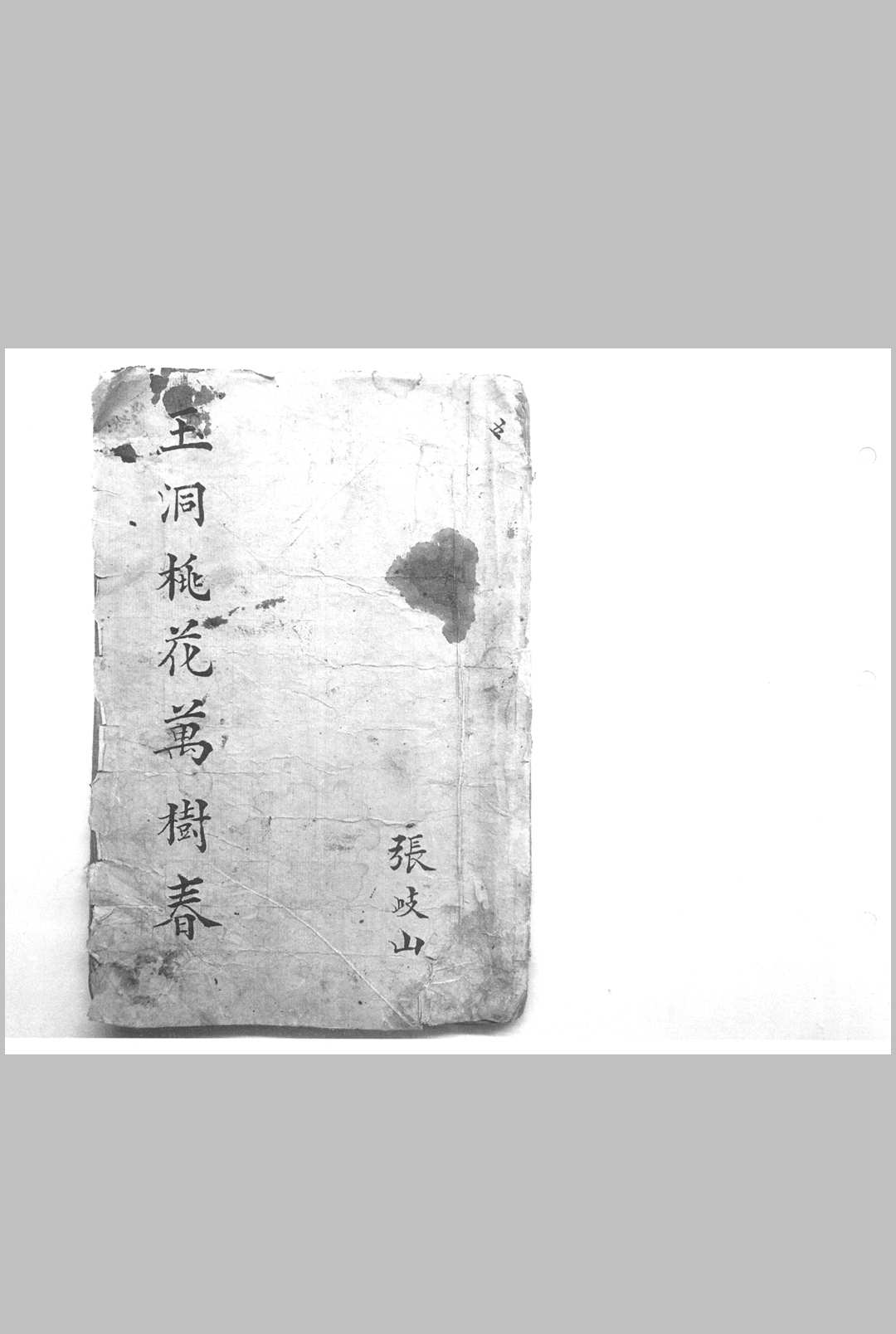玉洞桃花万树春（命理）