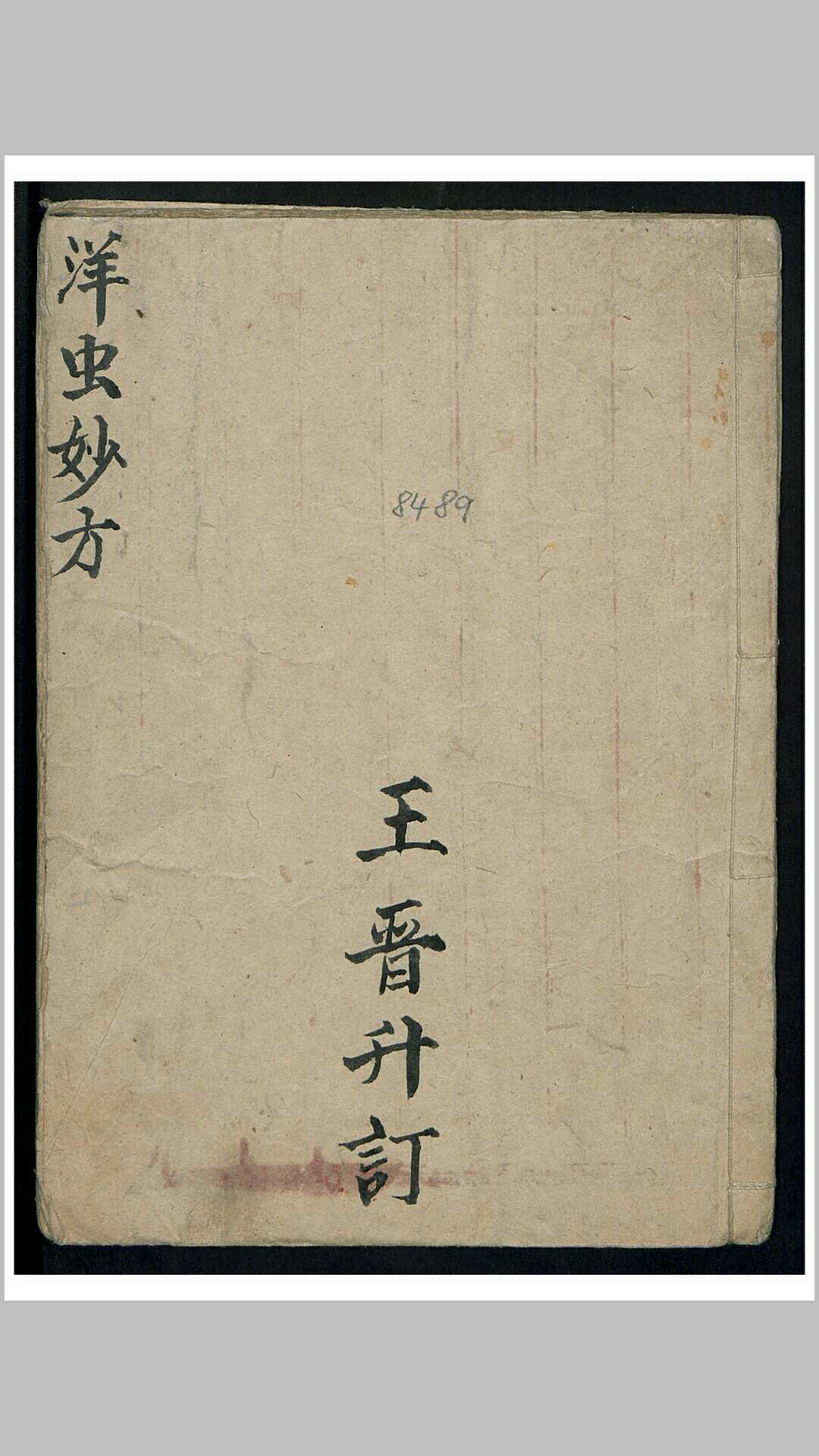 王晋升 洋虫妙方