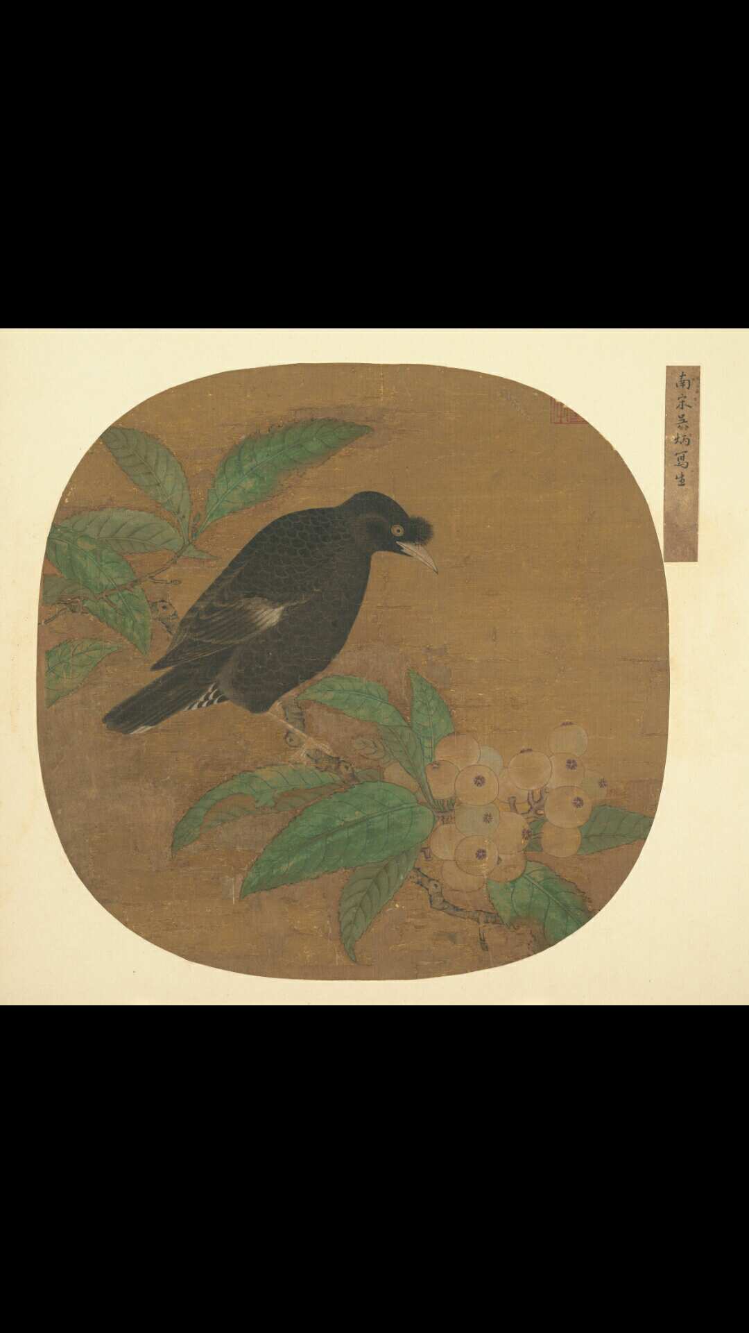 明 佚名（传 吴炳）八哥枇杷图31.1×31.1