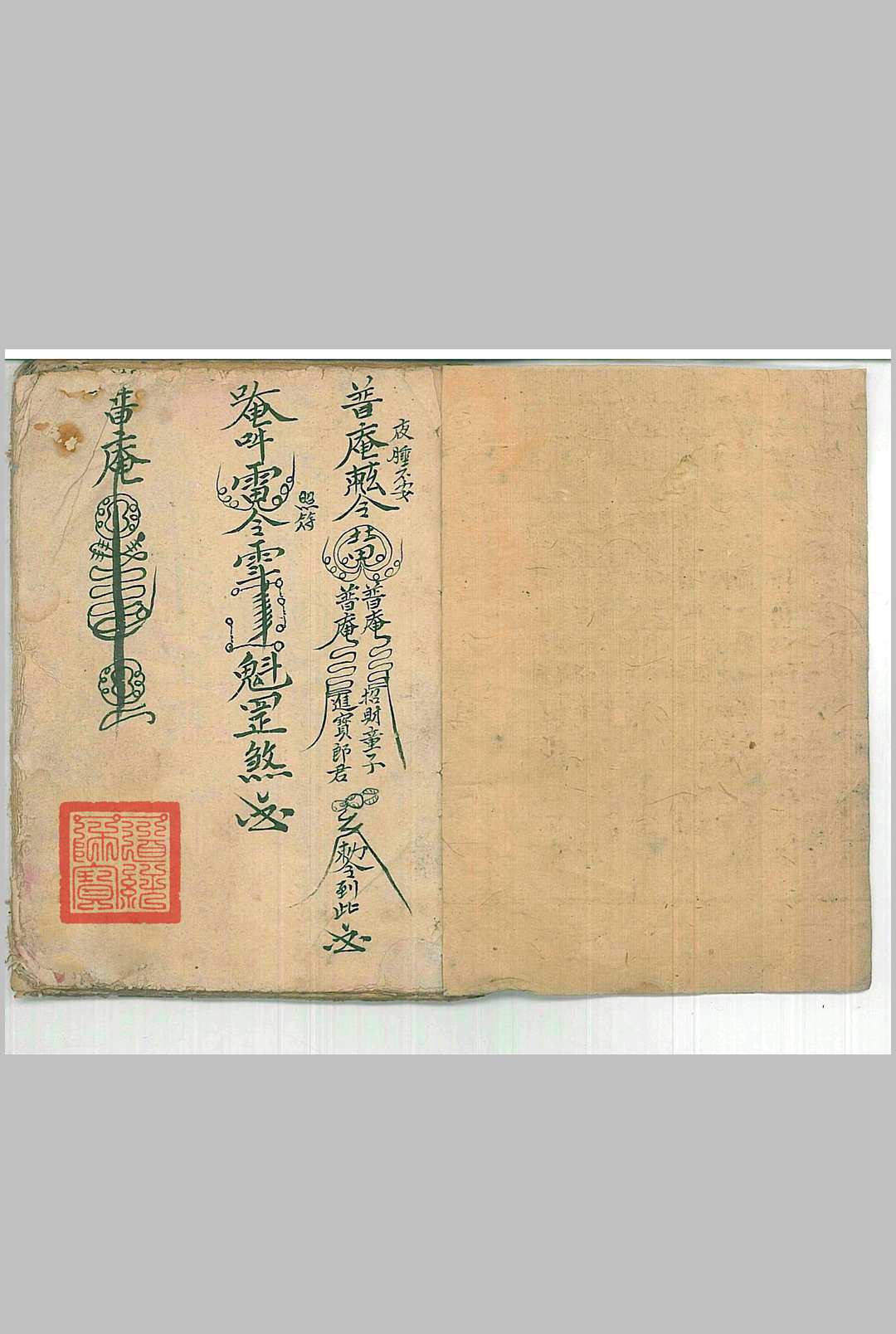 普庵派法本 灵宝定数医治符法