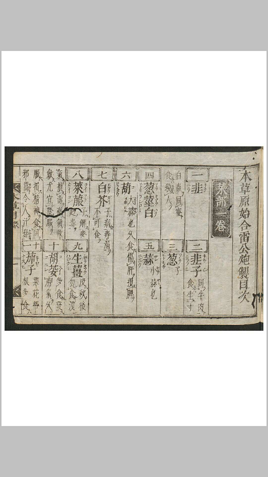 本草原始附雷公炮制