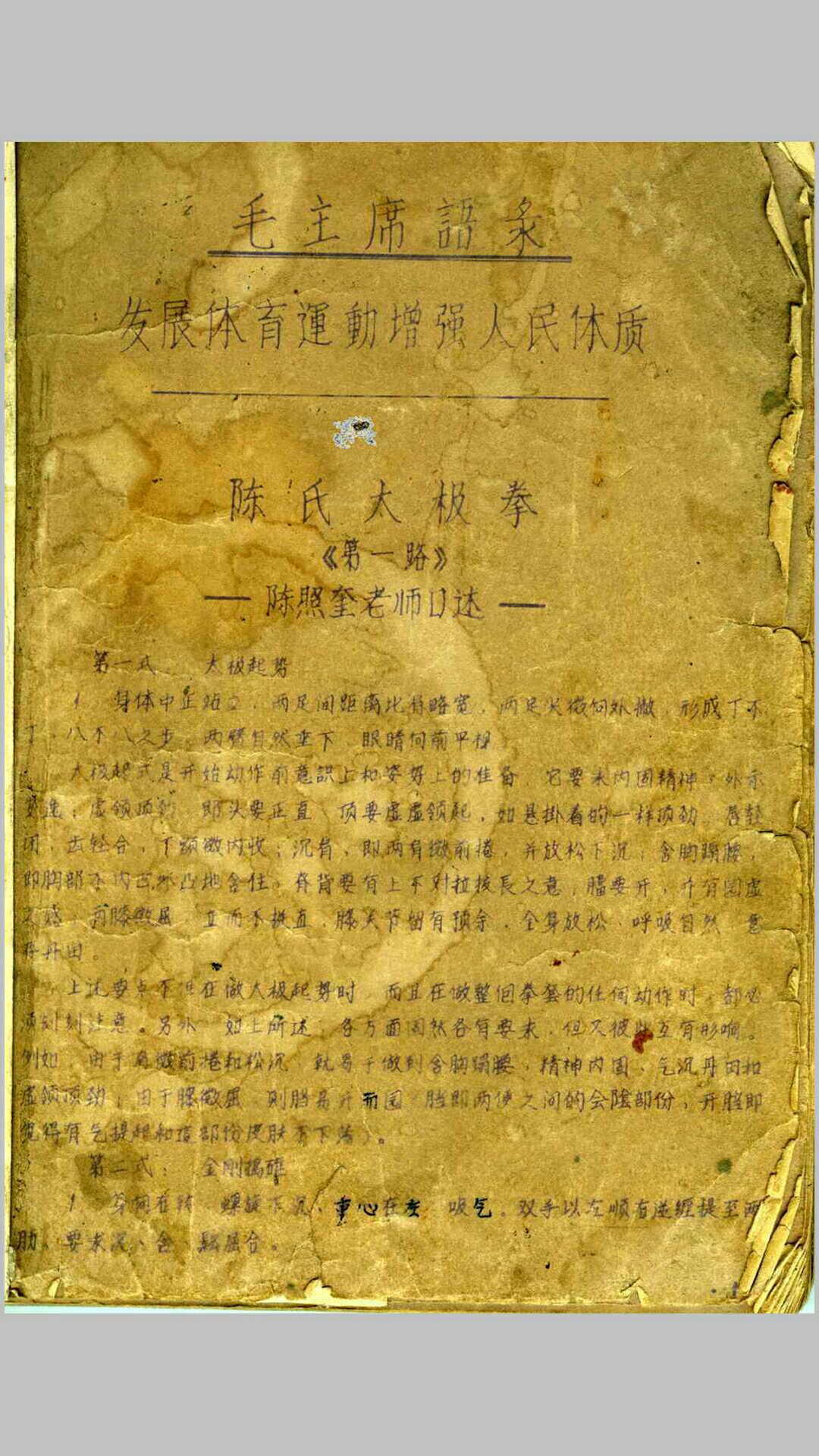 陈氏太极拳陈照奎(手抄本)