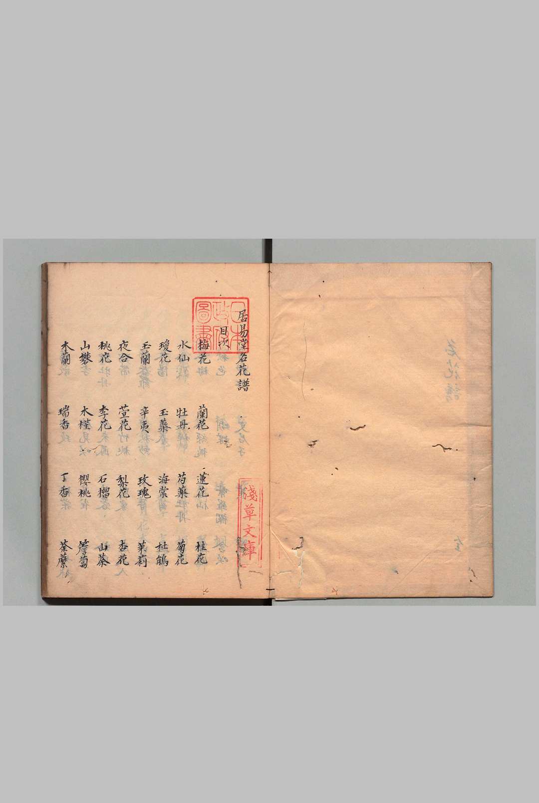 名花谱 西湖居易主人（明）写本 ,江户