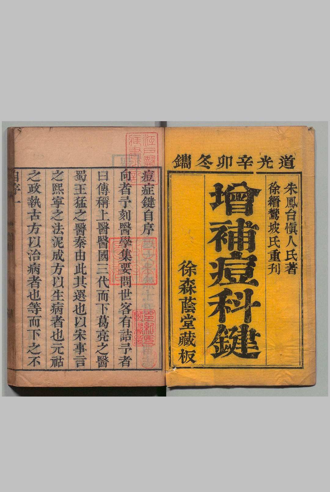 痘科键 ２卷 痲疹１卷 朱巽（清）朱凤台（明） ,清道光11年