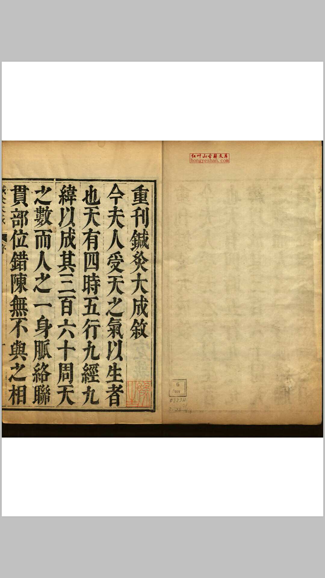 针灸大成  十卷