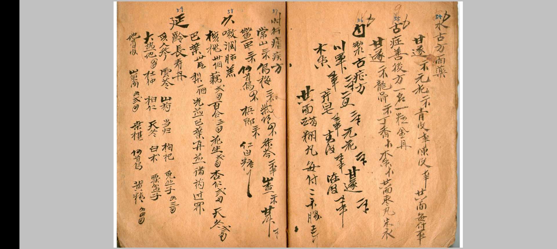 家传中医手抄秘方