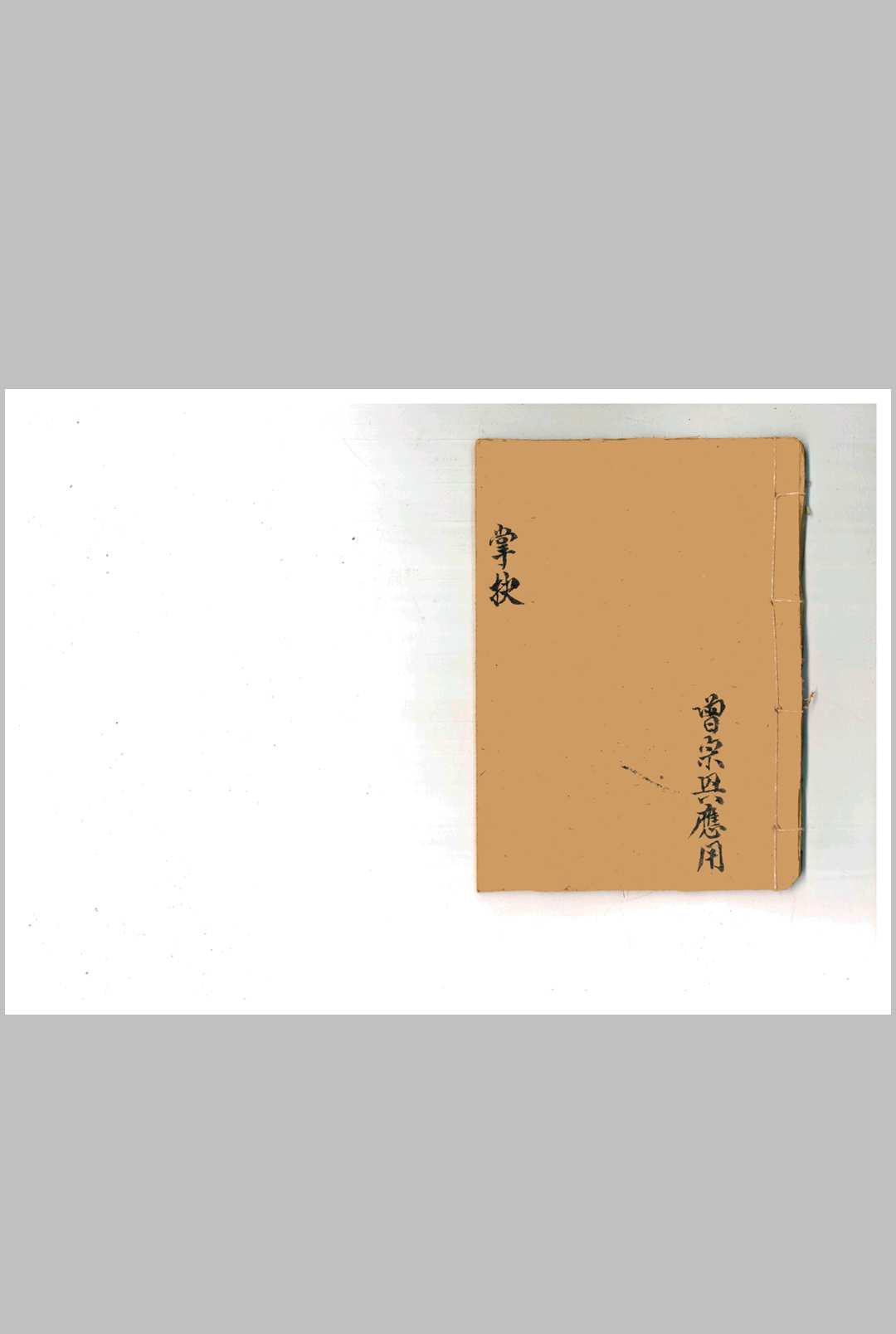 掌抉