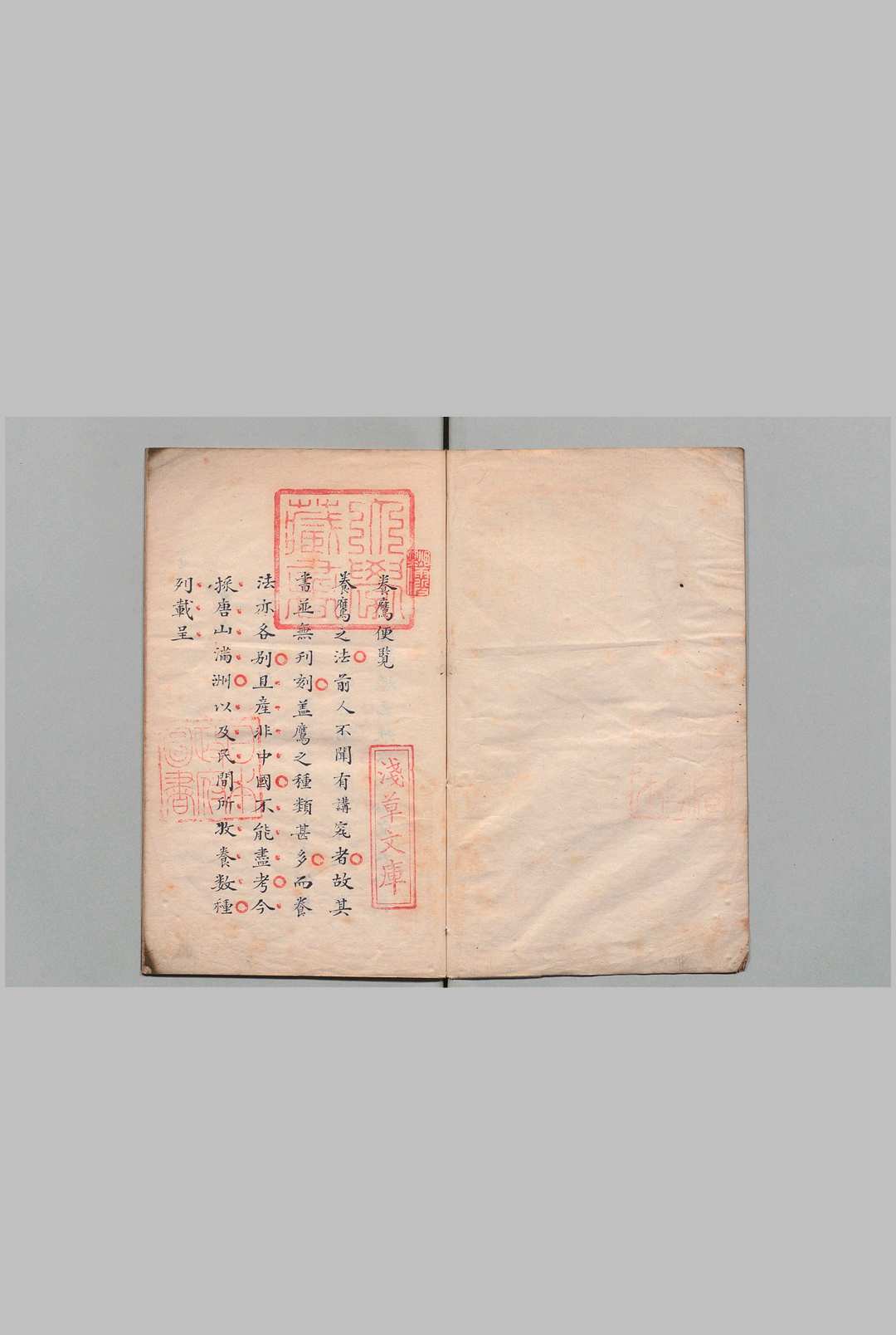 养鹰便览 写本 ,江户