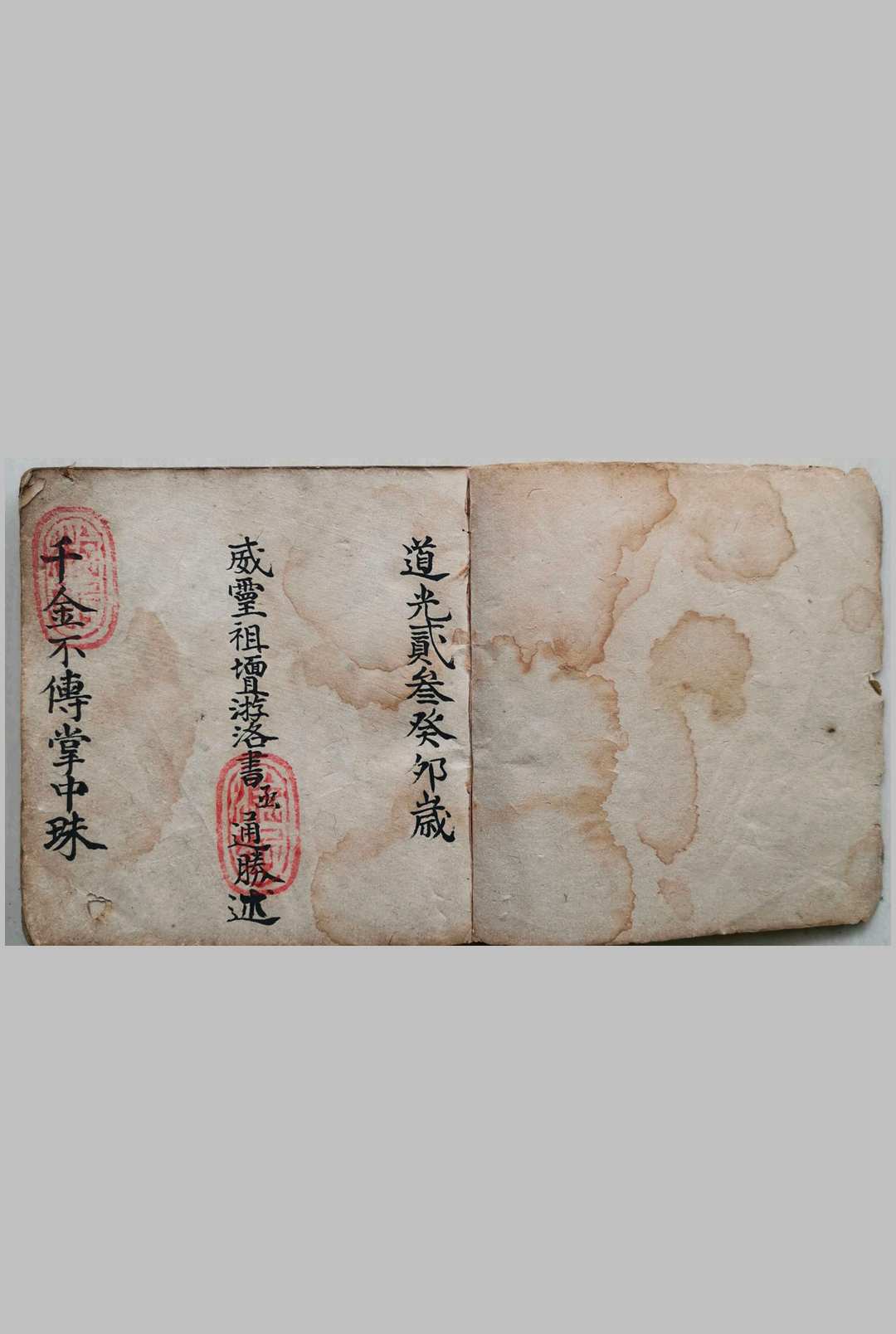 千金不传掌中珠