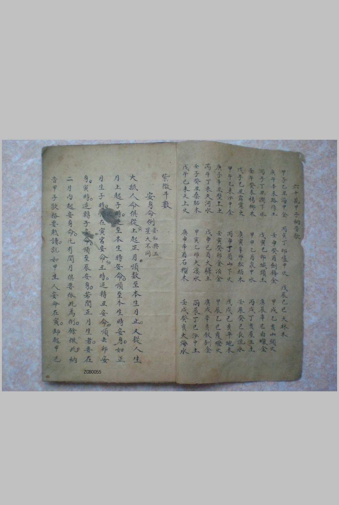 紫微斗数