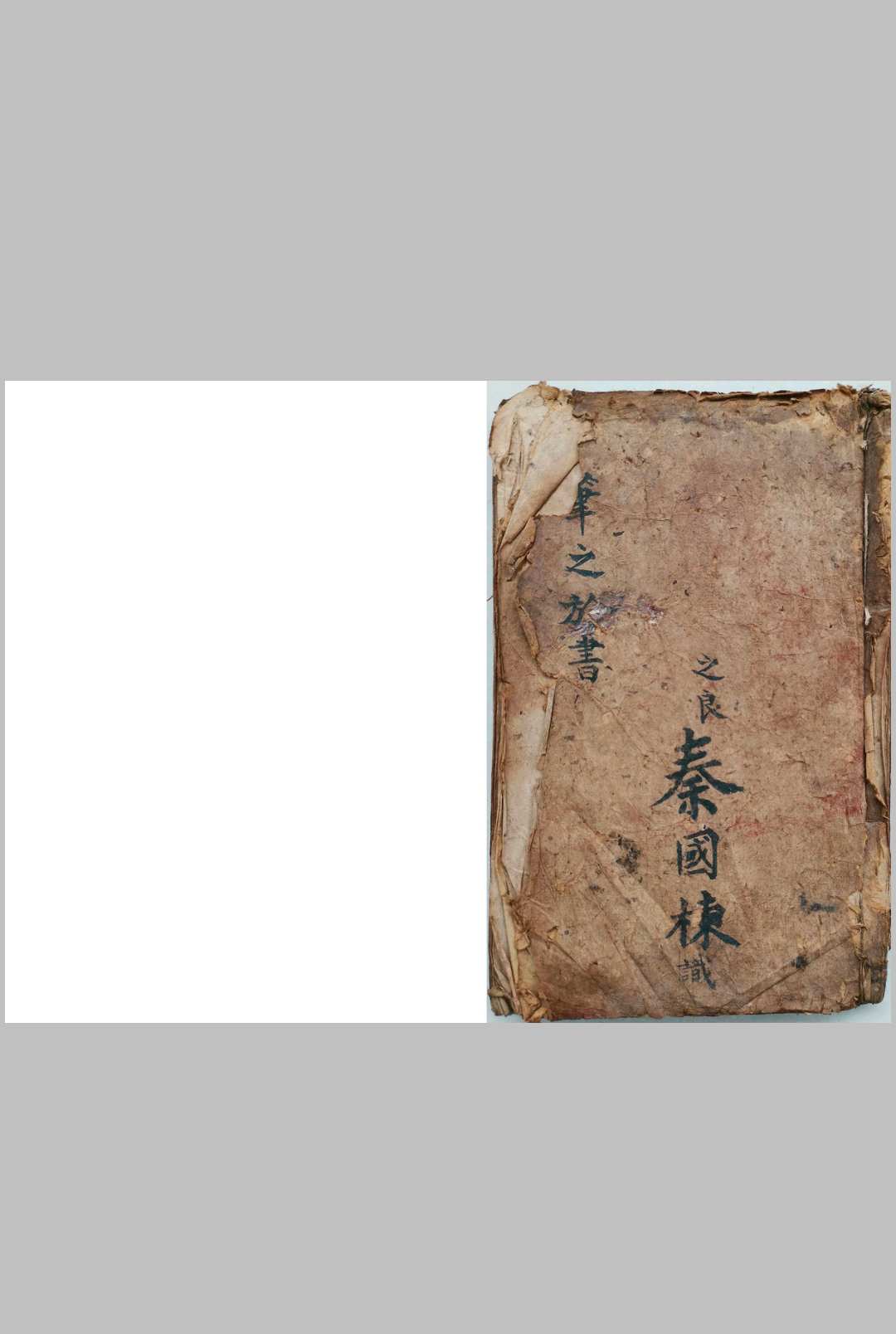 一勺子青囊妙用笔之于书